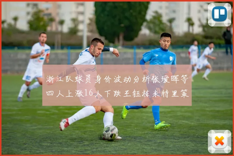 浙江队球员身价波动分析张瑷晖等四人上涨16人下跌王钰栋米特里策保持不变