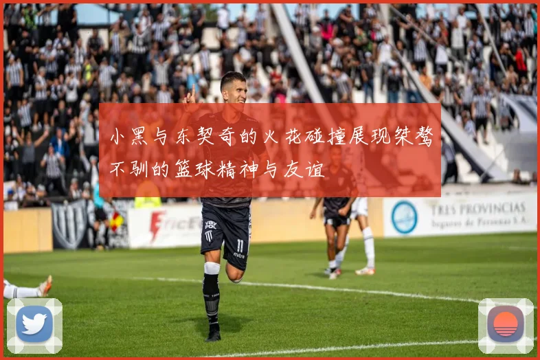 小黑与东契奇的火花碰撞展现桀骜不驯的篮球精神与友谊