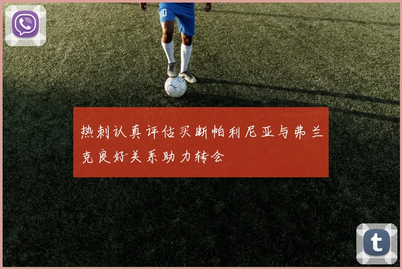 热刺认真评估买断帕利尼亚与弗兰克良好关系助力转会